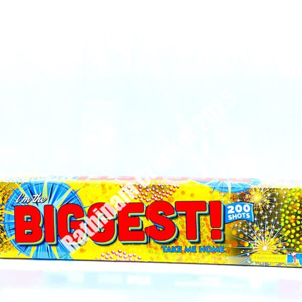 Biggest 200 1 Pc - Box