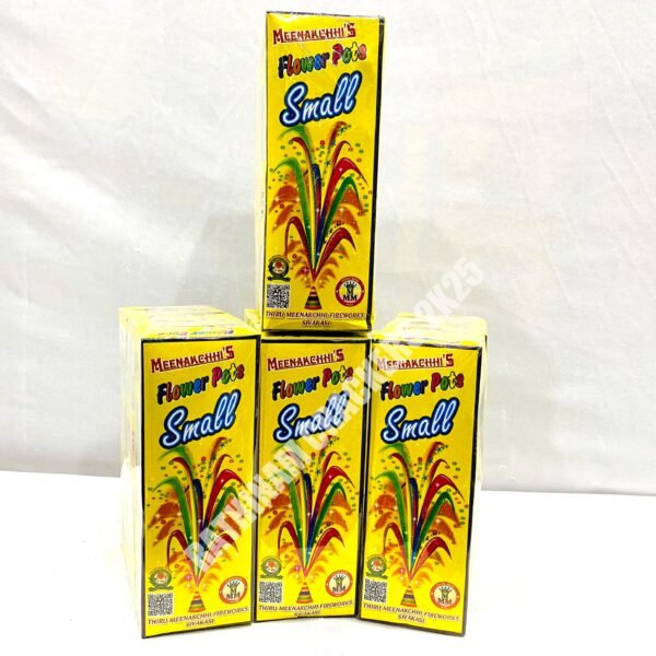 Flower Pots Small10 Pcs - Box