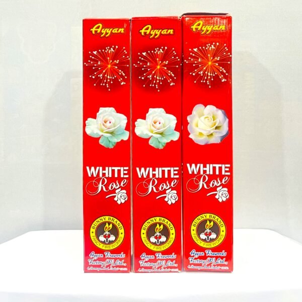 White Rose ( 3 " Pearl White ) 1 Pc - Box
