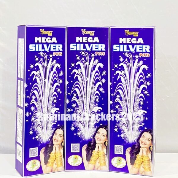 Mega Pots Silver ( Krishna )10 Pcs - Box